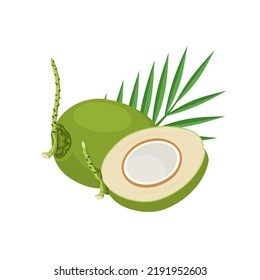 Vector illustration, Coconut and leaves isolated on white background, as a banner, poster or template, World Coconut Day.