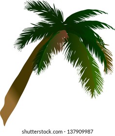 Ilustración vectorial de una palmera de coco