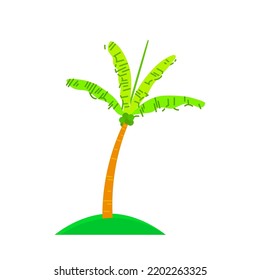 Vector illustration of coconut palm tree isolated on white background.