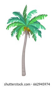 Vector illustration of coconut palm tree. Isolated on white background. Ink sketch. flat style.