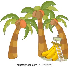 Ilustración vectorial de las palmeras de coco