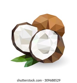 Vector illustration of a coconut  rendered in a geometric style