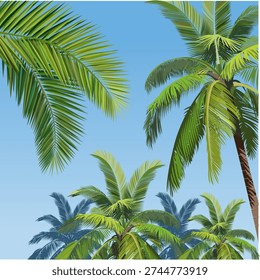 vector illustration, a coconut tree.