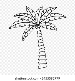 Vector illustration of coconut tree line art on transparent background