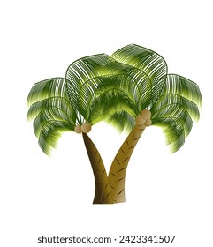 Vector illustration of coconut tree on white background