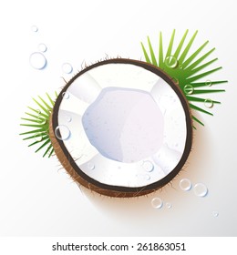 Vector illustration of a coconut  with water drops and palm branches, realistic design, minimalistic style, isolated object on a white background