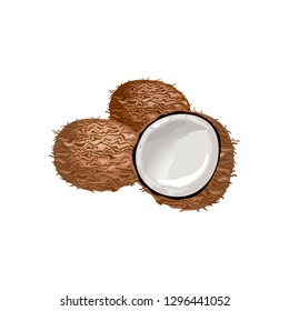 Vector Illustration Coconut Whole Cracked Into Stock Vector (Royalty ...