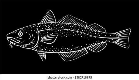 Vector illustration of a cod fish in black and white chalk style