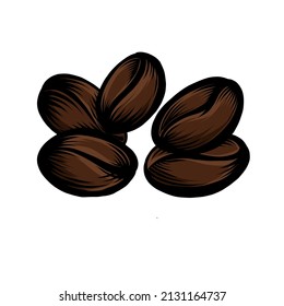 Vector illustration of coffe beans isolated on white. Vintage illustration, line art.