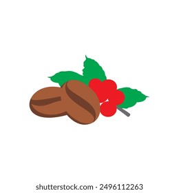 Vector illustration of coffee beans and coffee fruit.