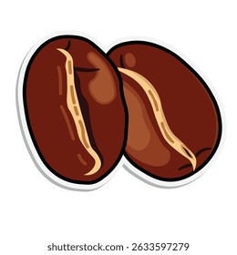 Vector illustration of coffee beans isolated on white background