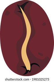 Vector illustration of coffee beans. Large grain of Arabica. 