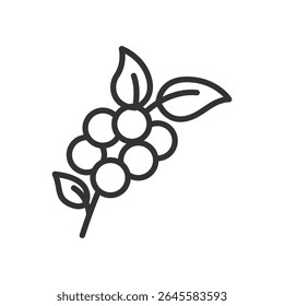 Ilustração vetorial de uma planta de café