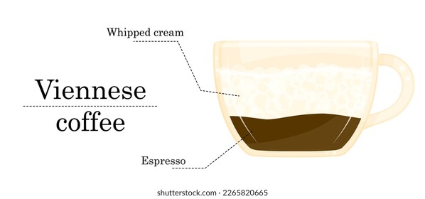 Vector illustration of coffee recipe, viennese coffee recipe, coffee shop illustration 