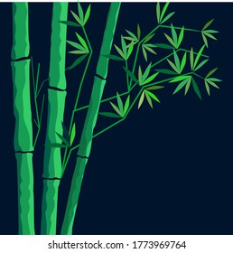 
vector illustration of a cognate of bamboo
