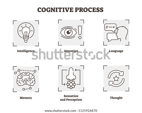 cognitive processes