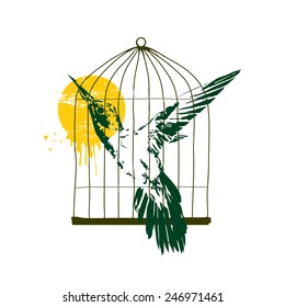 Vector illustration - Colibri in birdcage