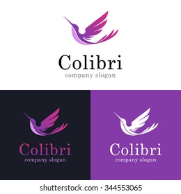 Vector illustration of colibri. Flat bird icon design. Modern flat logo template.