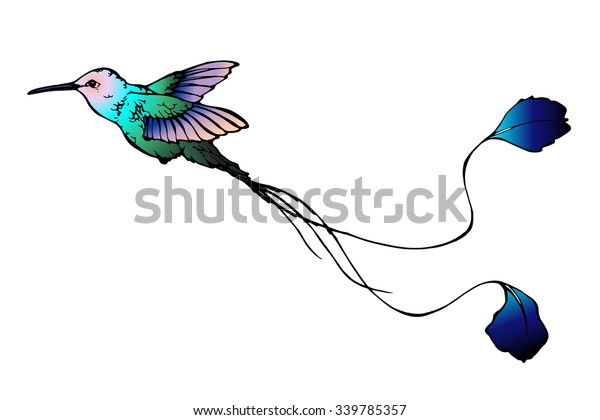 Vector Illustration Colibri Long Tail Image Vectorielle De Stock Libre De Droits