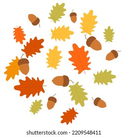 Vector illustration. Collection of acorns. Autumn composition