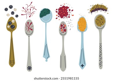 Vector illustration collection of allspice, saffron, turmeric, paprika, chili in vintage spoons. Flat cartoon style, doodle design, spices and aromatic seasoning, herbs for cooking