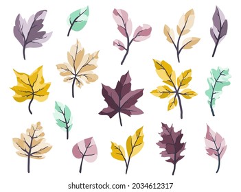Ilustración vectorial de la hoja de otoño de la colección. Conjunto de hojas variantes aisladas sobre el fondo blanco. Diseño plano. 