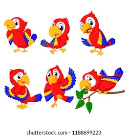 vector illustration of the collection of beautiful red parrots with the different posing