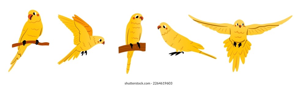 Ilustración vectorial de la colección de hermosos loros amarillos con la diferente pose. Carácter lindo aislado en blanco.