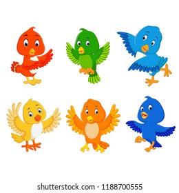 vector illustration of the collection birds with the different color and posing