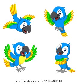 vector illustration of the collection of the blue parrots with happy faces