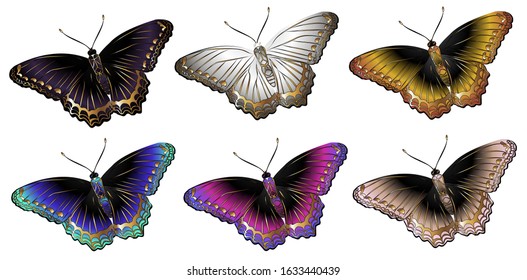 Vector illustration of a collection of butterflies. Isolated image of butterflies. View from above.