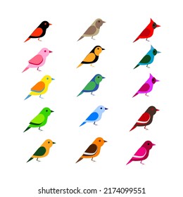 vector illustration of a collection of colorful birds