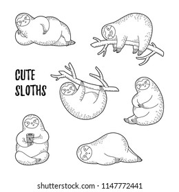 Vector illustration. Collection of cute cartoon sloths