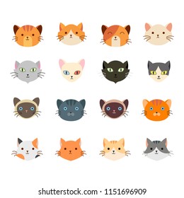 Vector illustration of collection cute cat head with many face