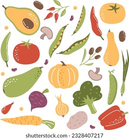 Vector Illustration Collection. Different vegetables on a white background. Zucchini pumpkin avocado peas beans onions potatoes carrots tomato pepper mushrooms broccoli olives rose hips beets 