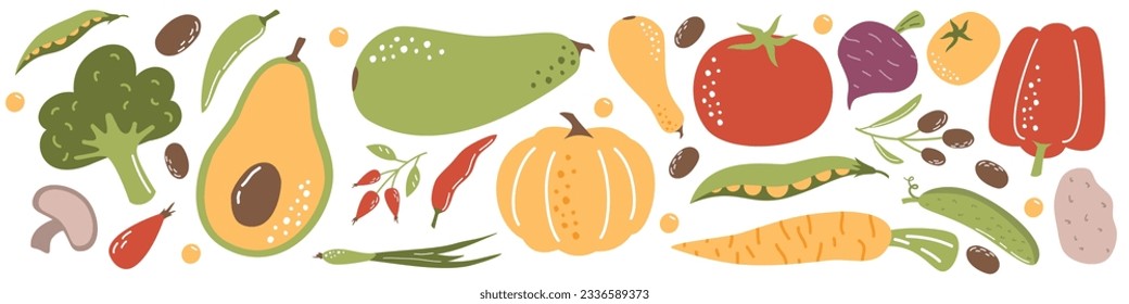 Vector Illustration Collection. Different vegetables on a white background. Zucchini pumpkin avocado peas beans onions potatoes carrots tomato pepper mushrooms broccoli olives rose hips beets . Vector