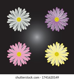 Vector illustration of a collection of flowers. Vector arrangement for greeting cards or invitation designs.
