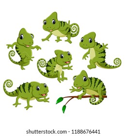 vector illustration of the collection of the green chameleon with different posing