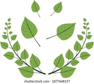A vector illustration collection of green leaves and on a vine 