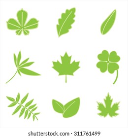 Vector illustration collection of green leaves icons. Autumn leaves