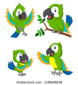 vector illustration of the collection of the green parrots with the different expression