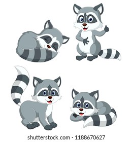 vector illustration of the collection of the grey racoon with different posing