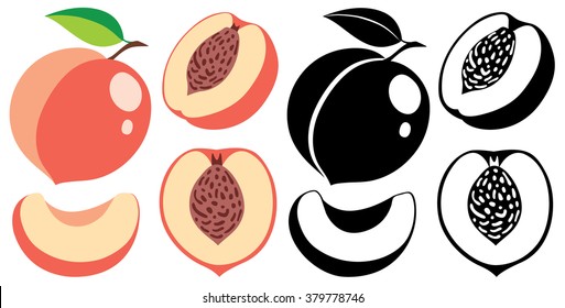 Vector illustration. Collection of isolated cut and whole vector peaches in color and black and white
