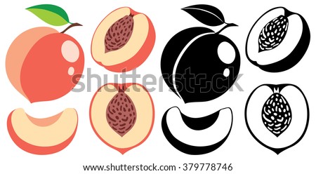 Vector illustration. Collection of isolated cut and whole vector peaches in color and black and white