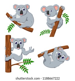 vector illustration of the collection of the koala hanging in the tree