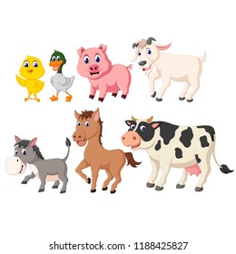 vector illustration of the collection of the livestock animals with the different species