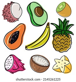 Vector illustration. A collection of minimalistic pictures with images of exotic fruits for the design of fruit packages, wallpapers and presentations