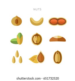 Vector illustration. Collection nuts. Set vegan products. Vegetarian, organic food. Natural protein. Flat style. Elements for your design. Simple design, trendy style. White background isolated. 