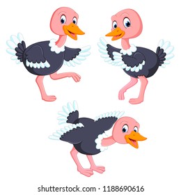 vector illustration of the collection of the ostrich with different posing