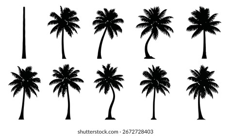 Vektorgrafik der Sammlung von Palmensilhouetten